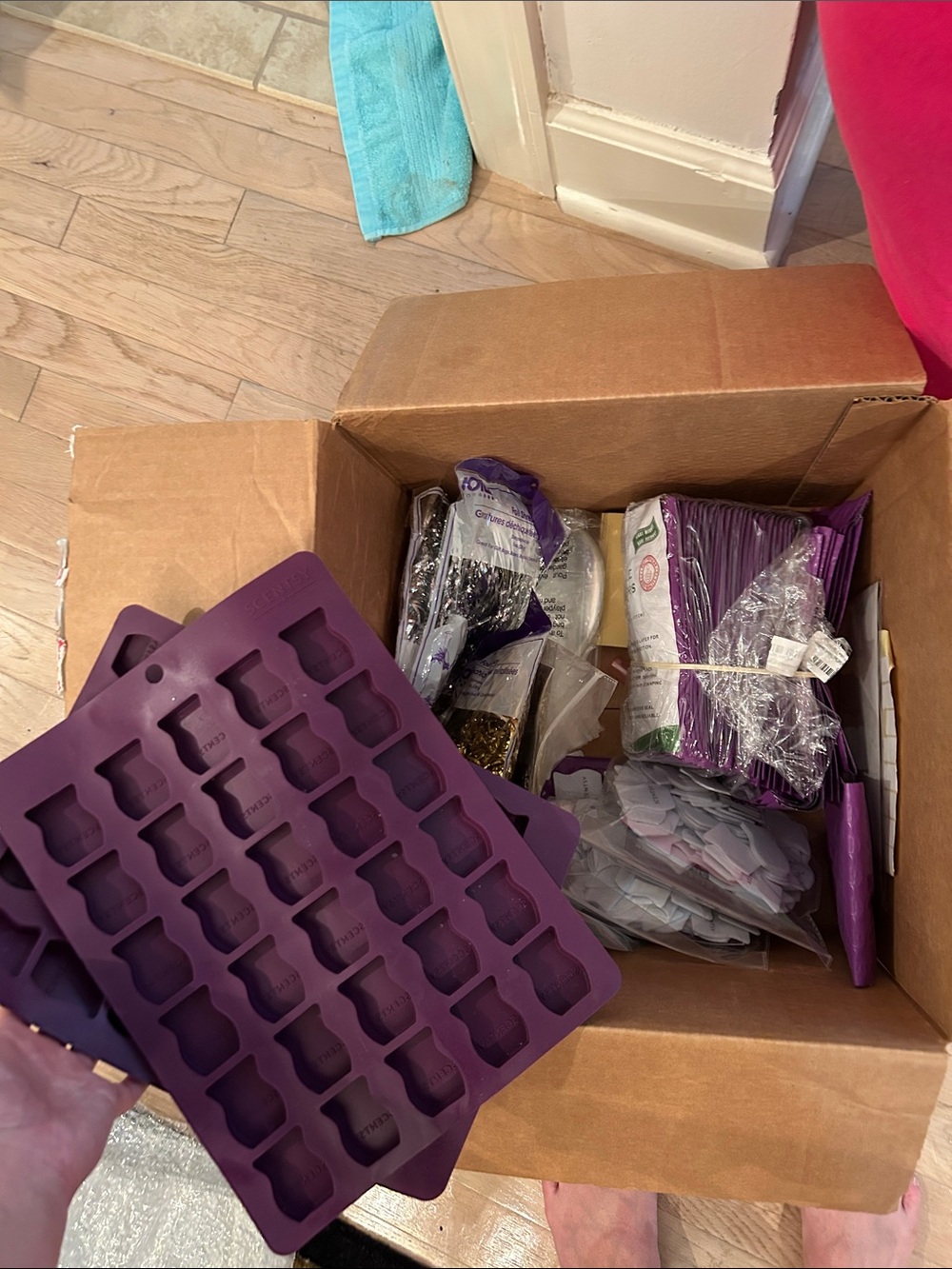 Scentsy felt sample consultant starter kit for customer mailers